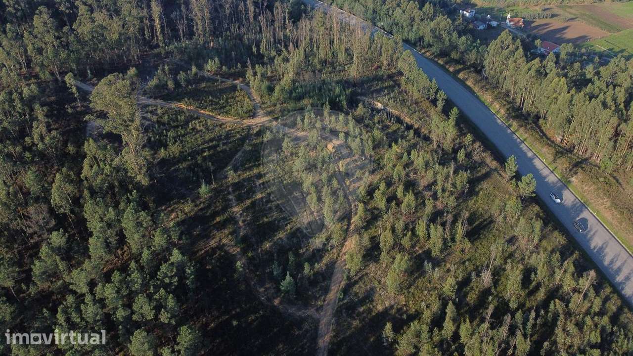 Terreno  para venda - Grande imagem: 2/6