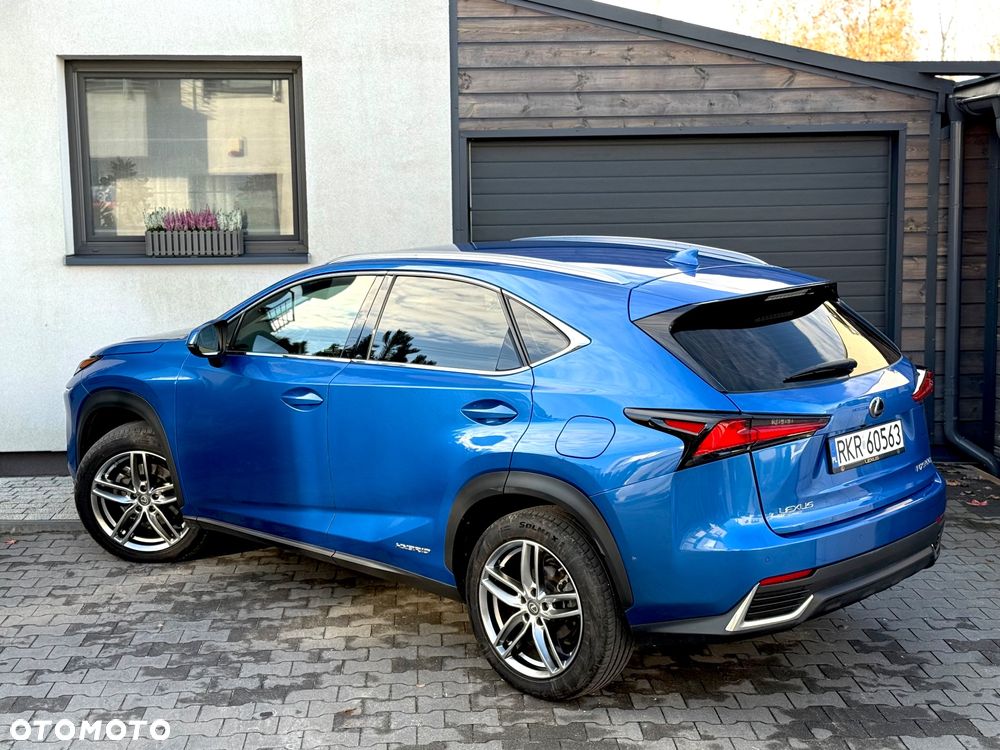 Lexus NX - 12