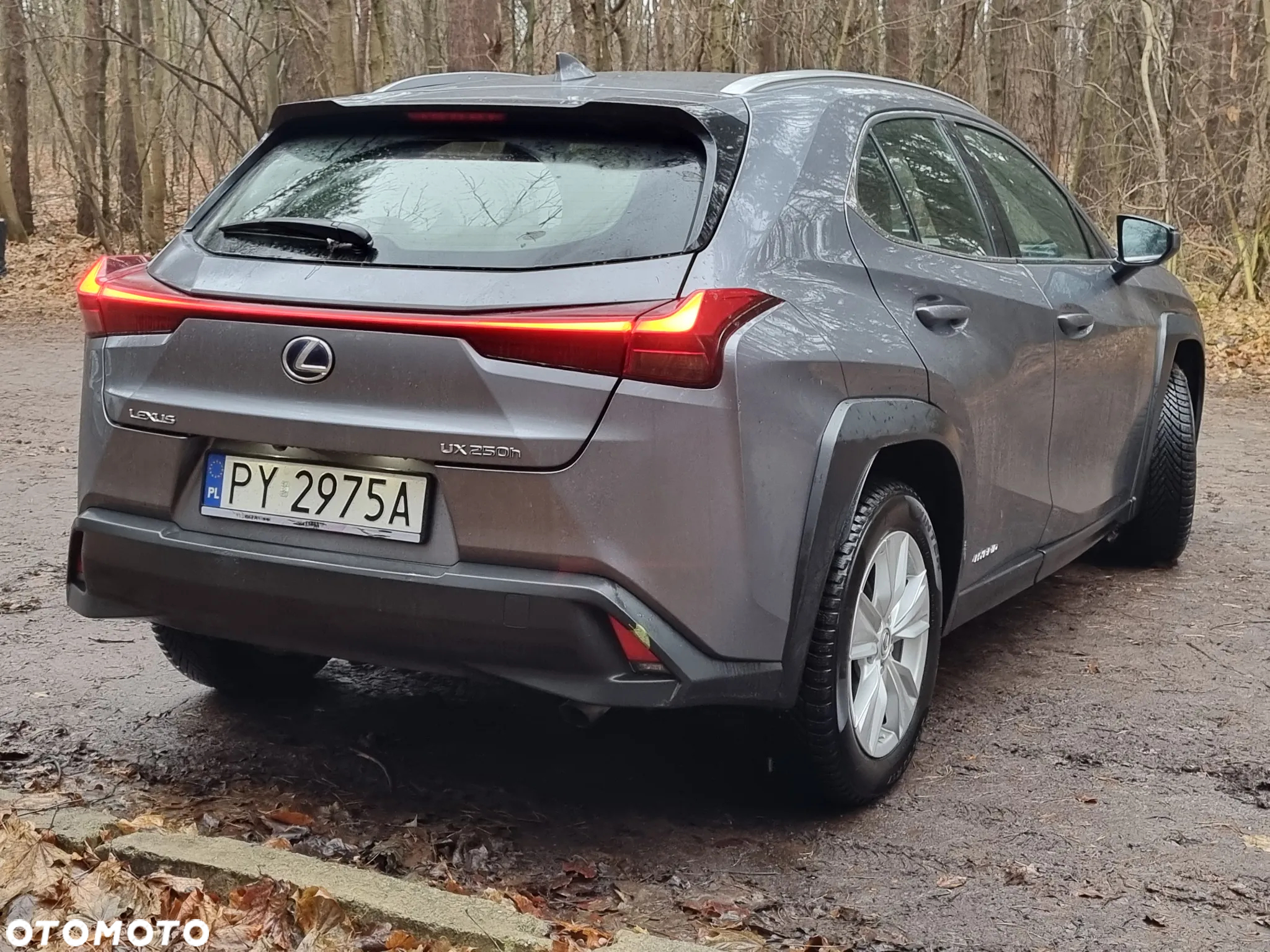 Lexus UX - 7