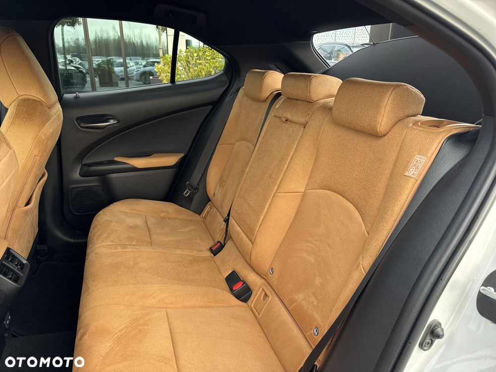 Lexus UX 250h GPF Business 2WD - 14