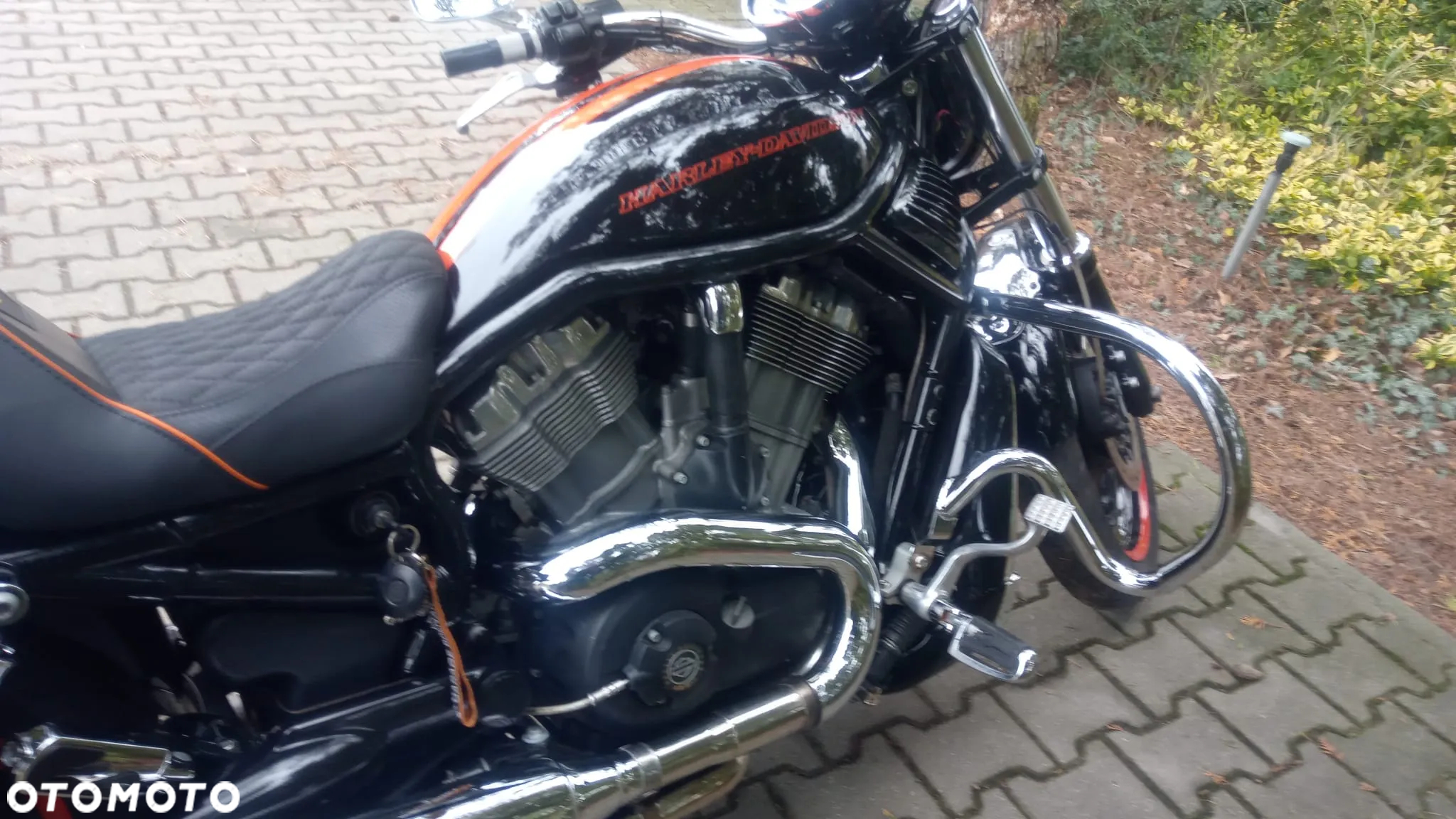 Harley-Davidson V-Rod Street Rod - 8