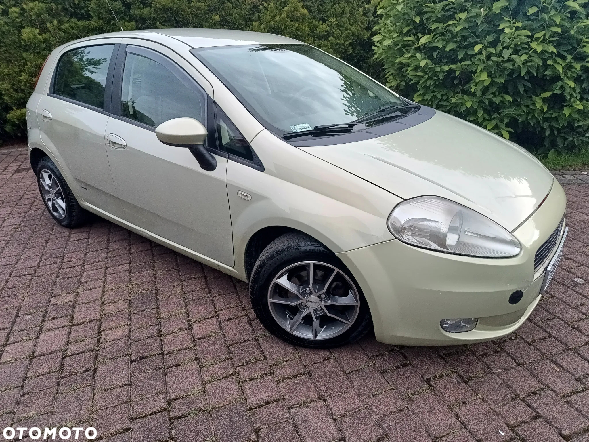 Fiat Grande Punto - 5