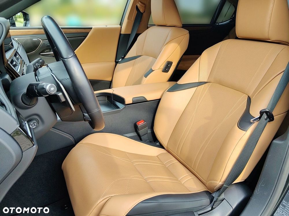 Lexus ES 300h Omotenashi - 17