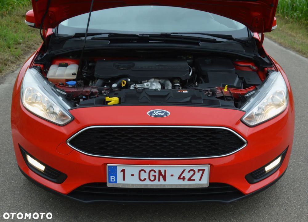 Ford Focus - 13