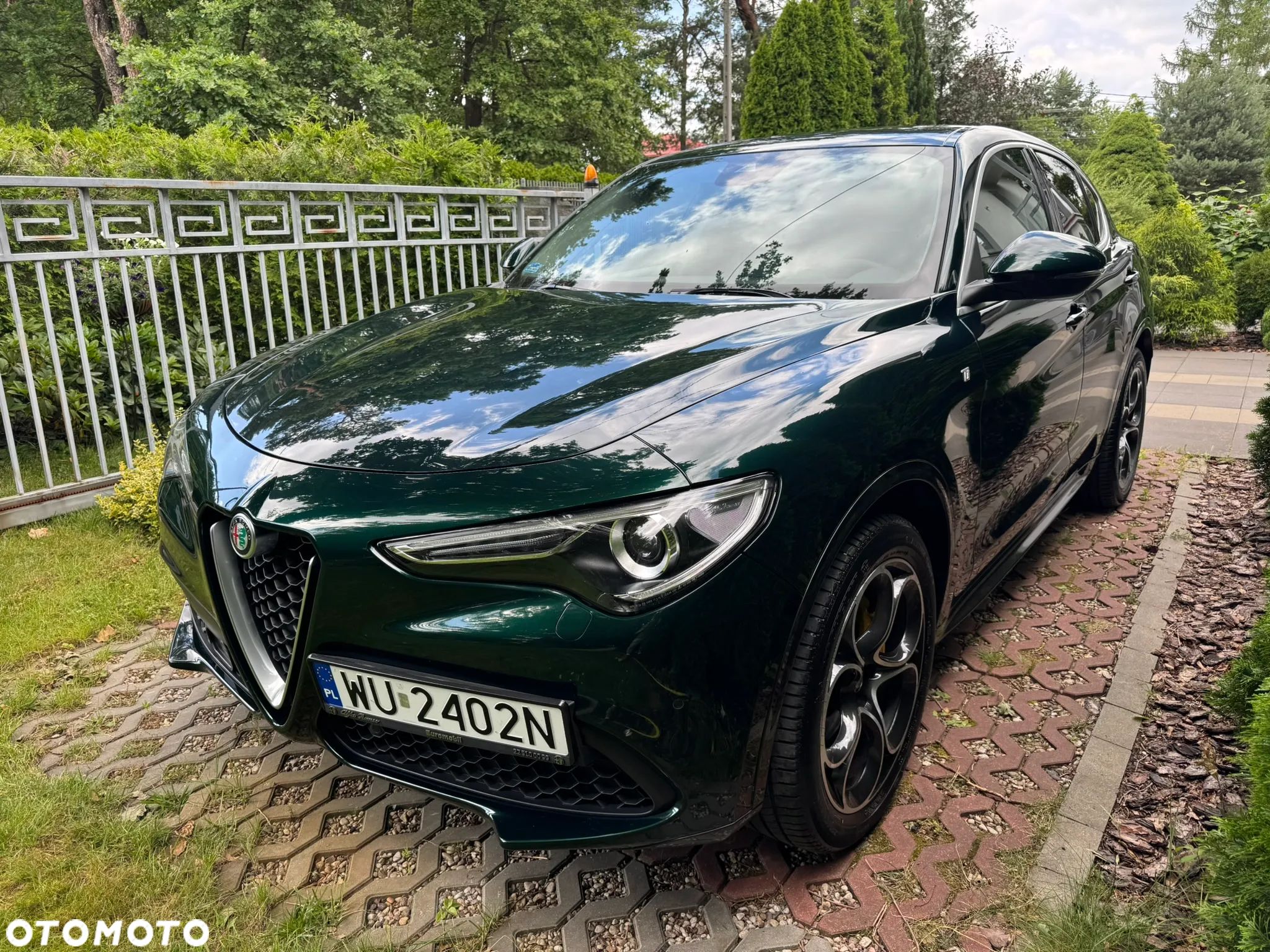 Alfa Romeo Stelvio 2.0 Turbo TI Q4 - 1