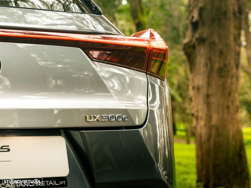 Lexus UX 300e Premium+TAE - 24
