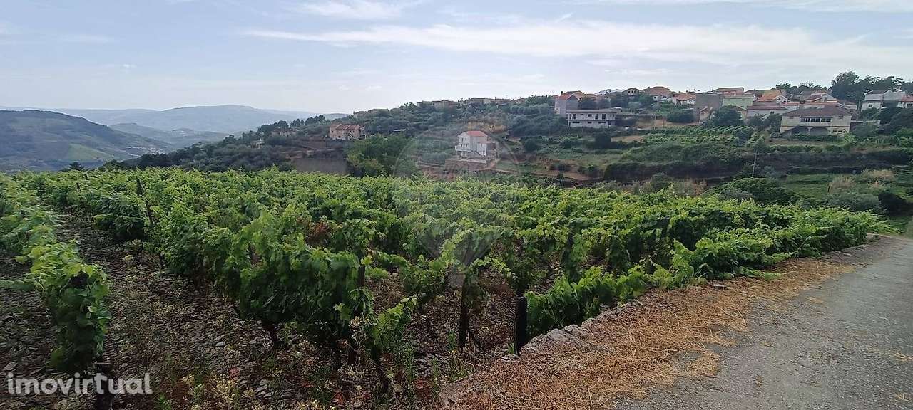 Terreno  para venda - Grande imagem: 5/7