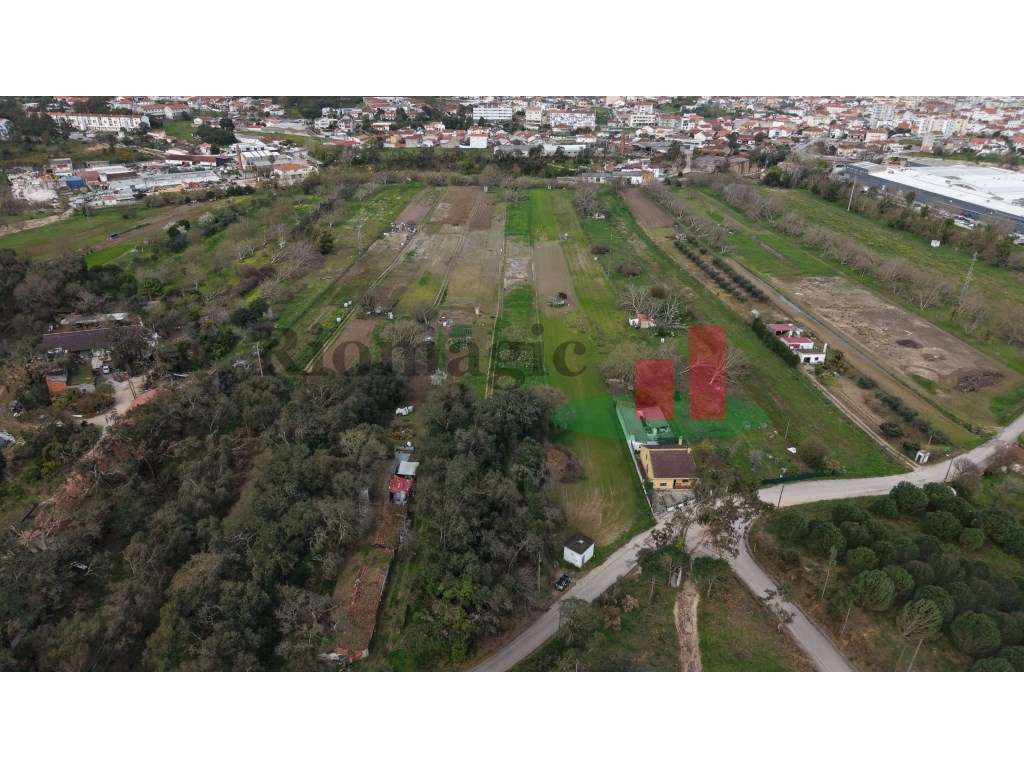 Terreno rústico Rio Maior***RIOMAGIC*** - Grande imagem: 2/11