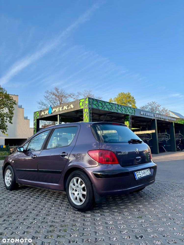 Peugeot 307 1.4 XS - 4