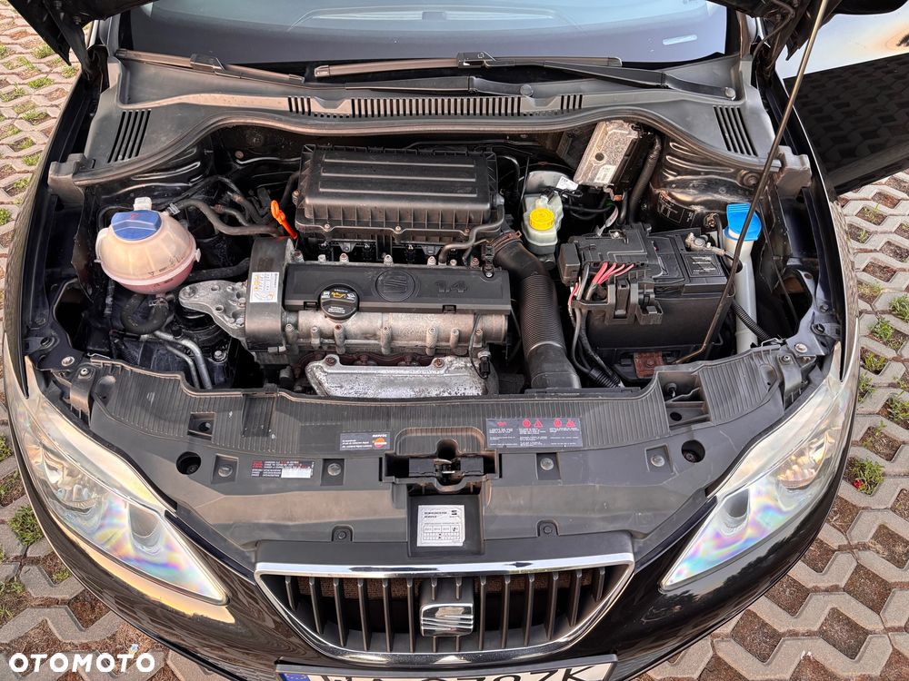 Seat Ibiza - 20