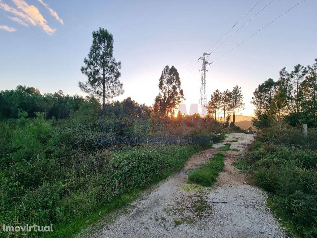 Terreno de construção em Ucha - Barcelos - Grande imagem: 3/11