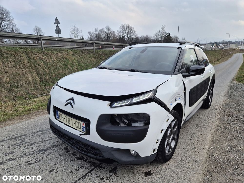 Citroën C4 Cactus 1.2 PureTech Shine Edition S&S ETG - 14