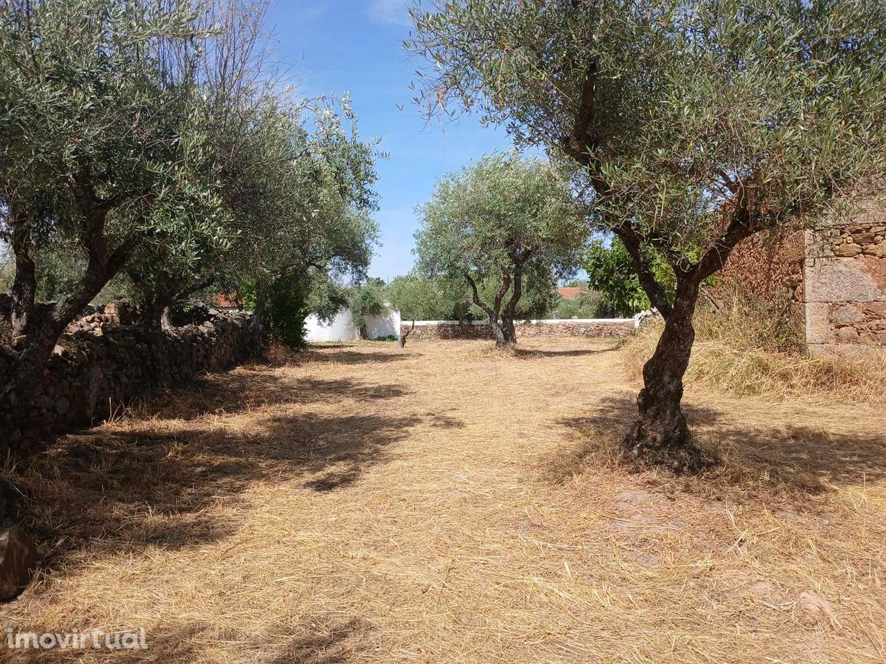 Quintinha - Grande imagem: 5/10