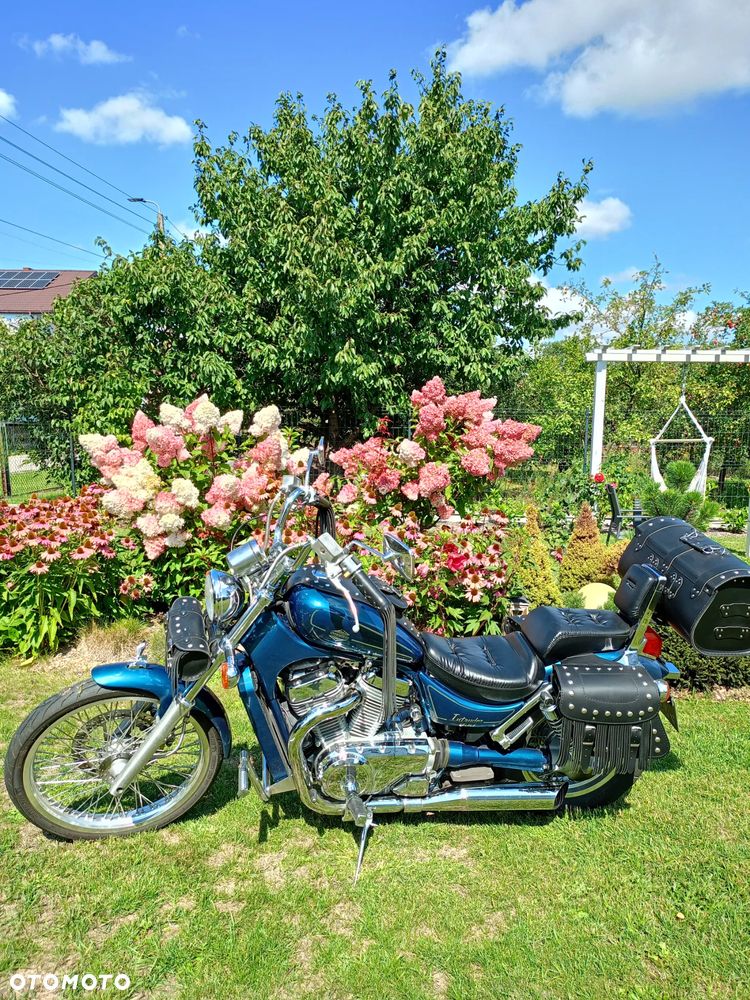 Suzuki Intruder - 1