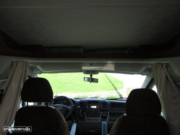 McLouis Yearling Série Limitada - 25