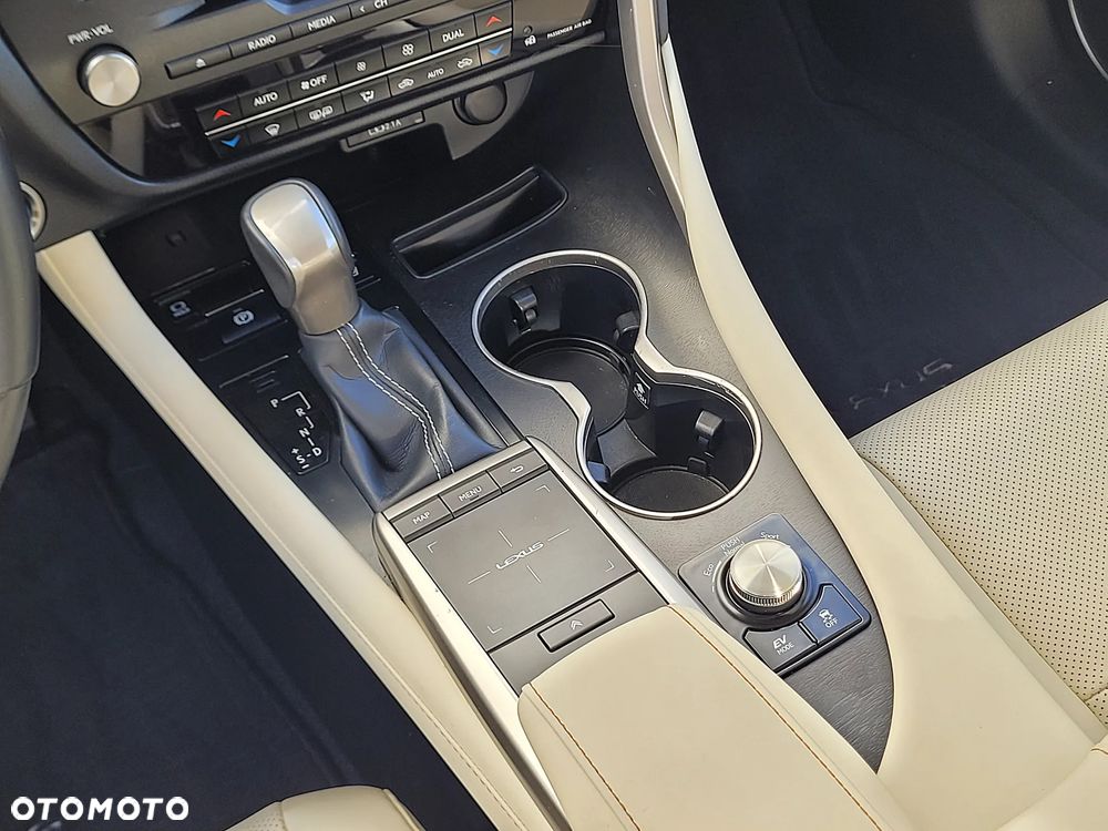 Lexus RX 450h F-Impression - 20
