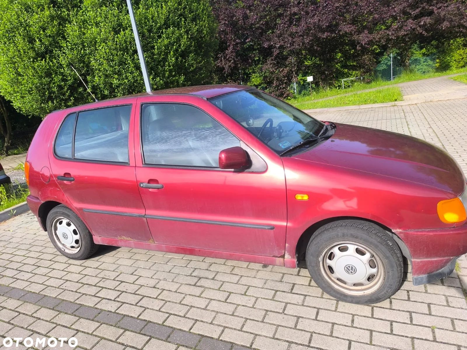 Volkswagen Polo - 1