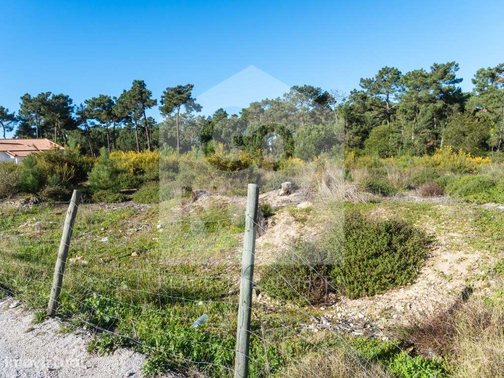 TERRENO PARA CONSTRUÇÃO - AROEIRA, CHARNECA DE CAPARICA - Grande imagem: 5/13