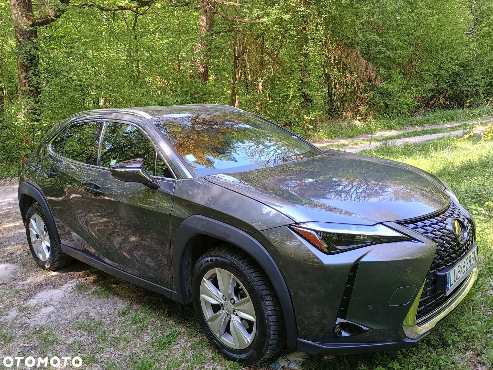 Lexus UX 250h GPF Business 2WD - 2