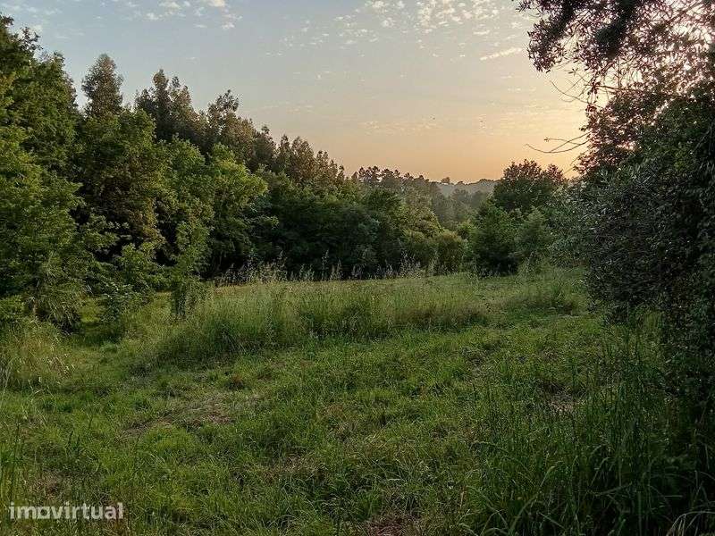 Quinta isolada mas a 2 km de Seia - Grande imagem: 3/6