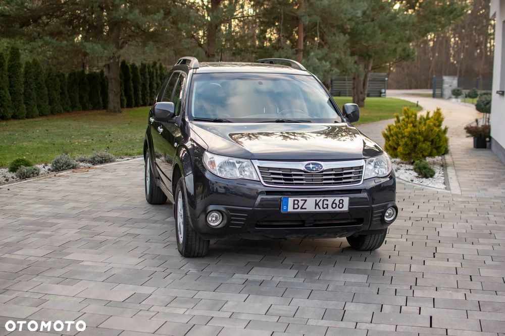 Subaru Forester - 13