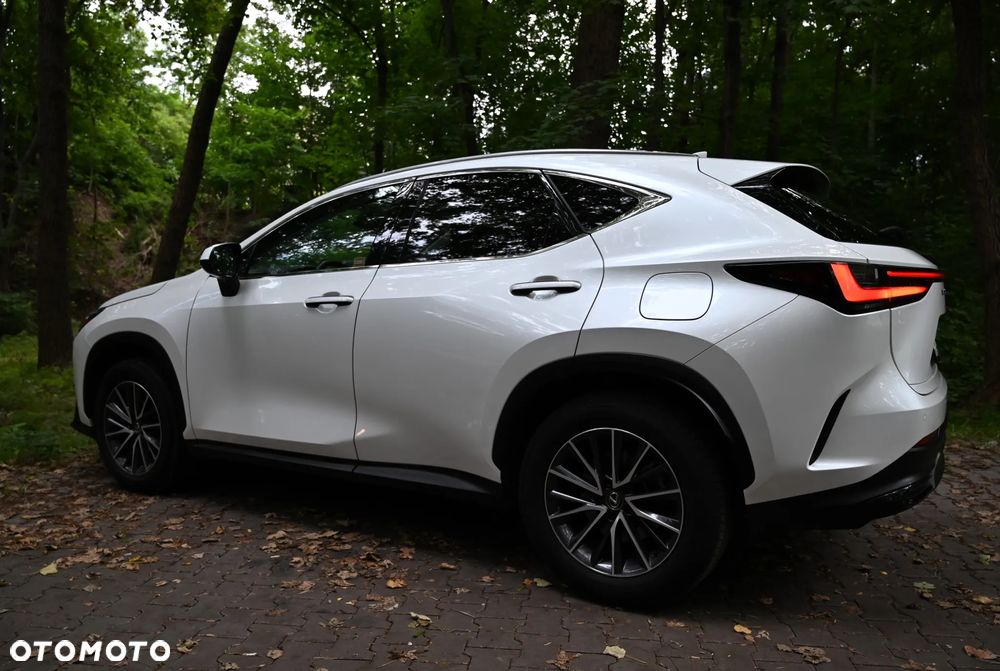 Lexus NX - 20