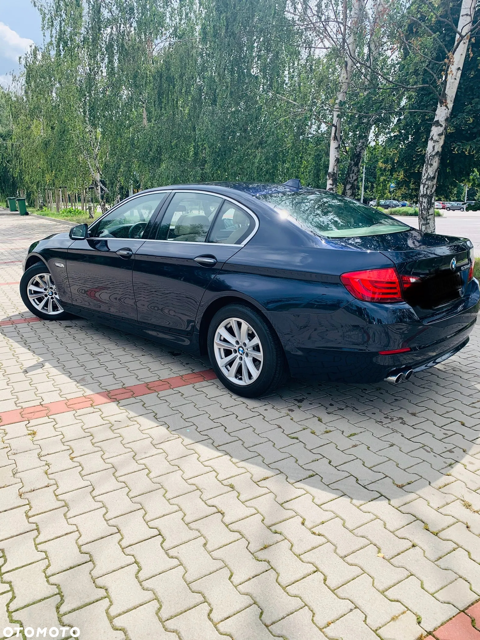 BMW Seria 5 530d xDrive Luxury Line - 4