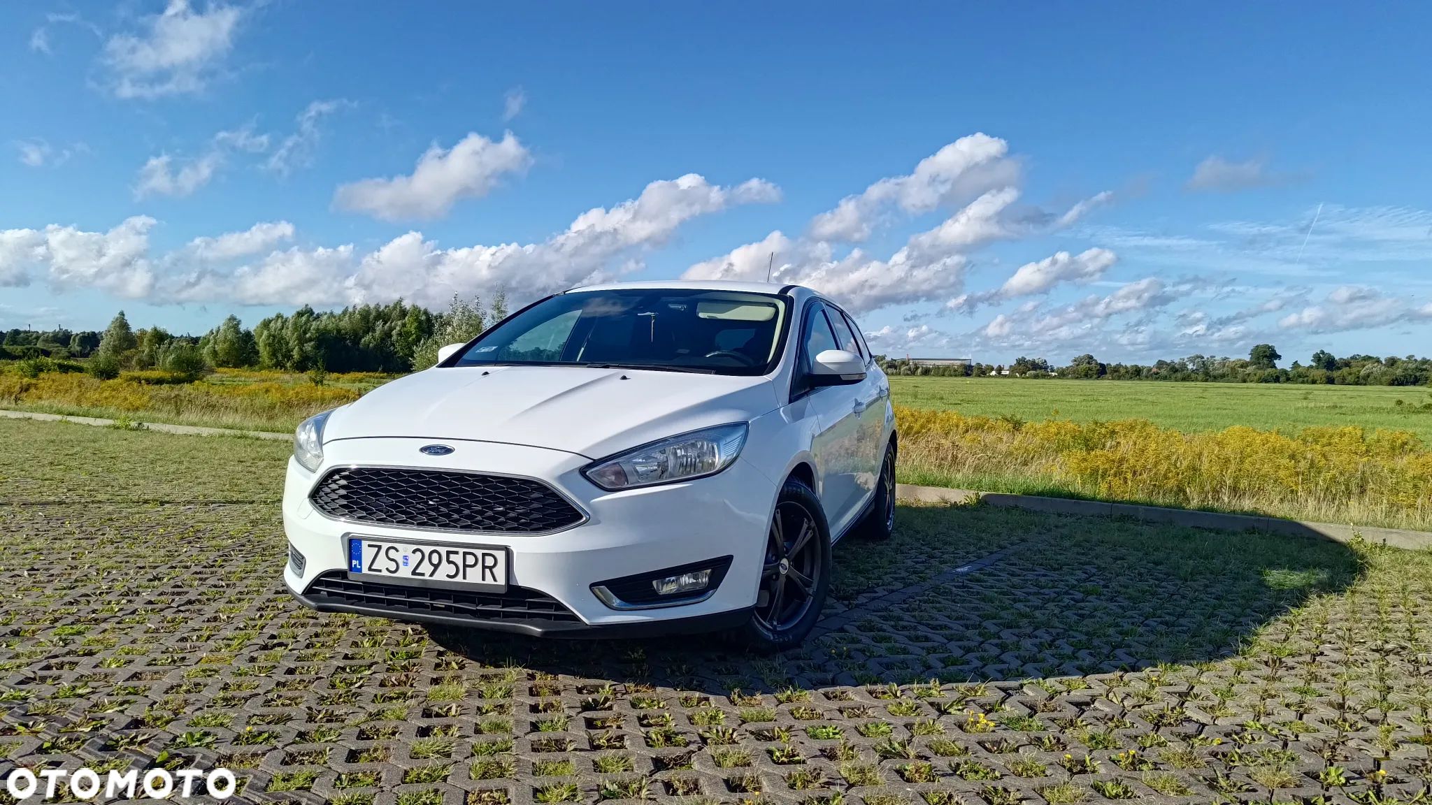 Ford Focus - 1