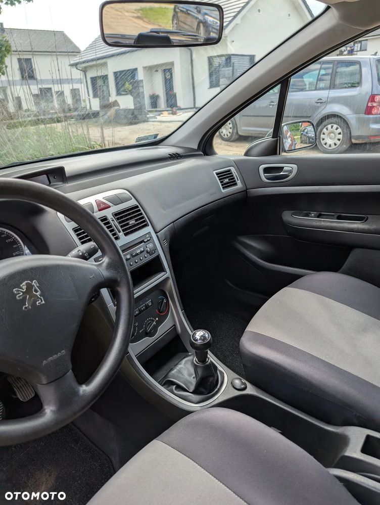 Peugeot 307 2.0 XS Class - 7