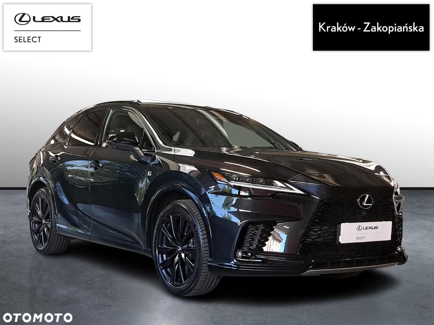 Lexus RX - 3