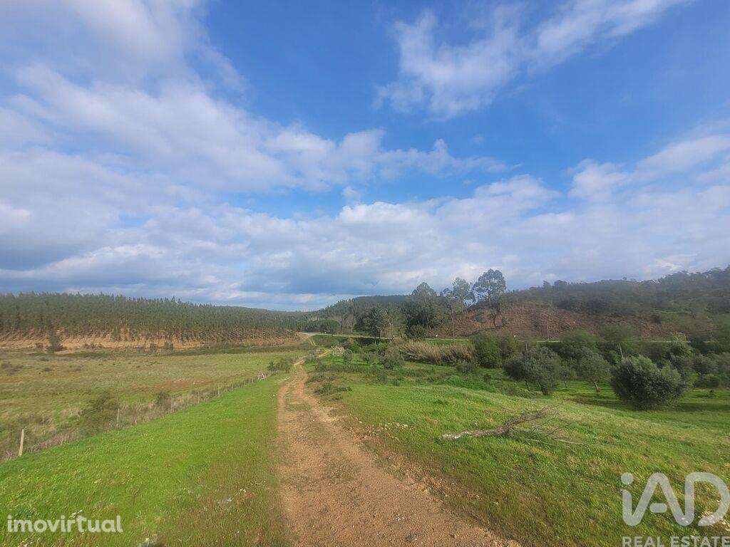 Quinta T2 em São Teotónio - Grande imagem: 3/20