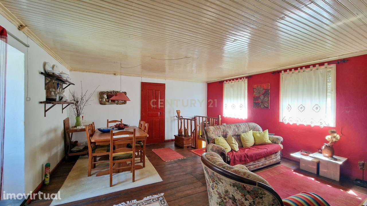 Casa de campo, terreno e Olival em Lamego - Grande imagem: 5/14