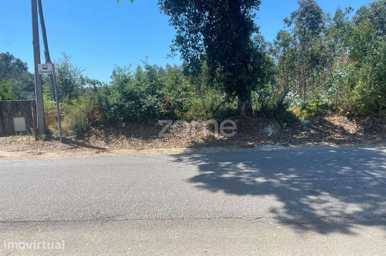 Terreno rústico, com 5500m2, em Oliveira de Azeméis - Grande imagem: 3/15