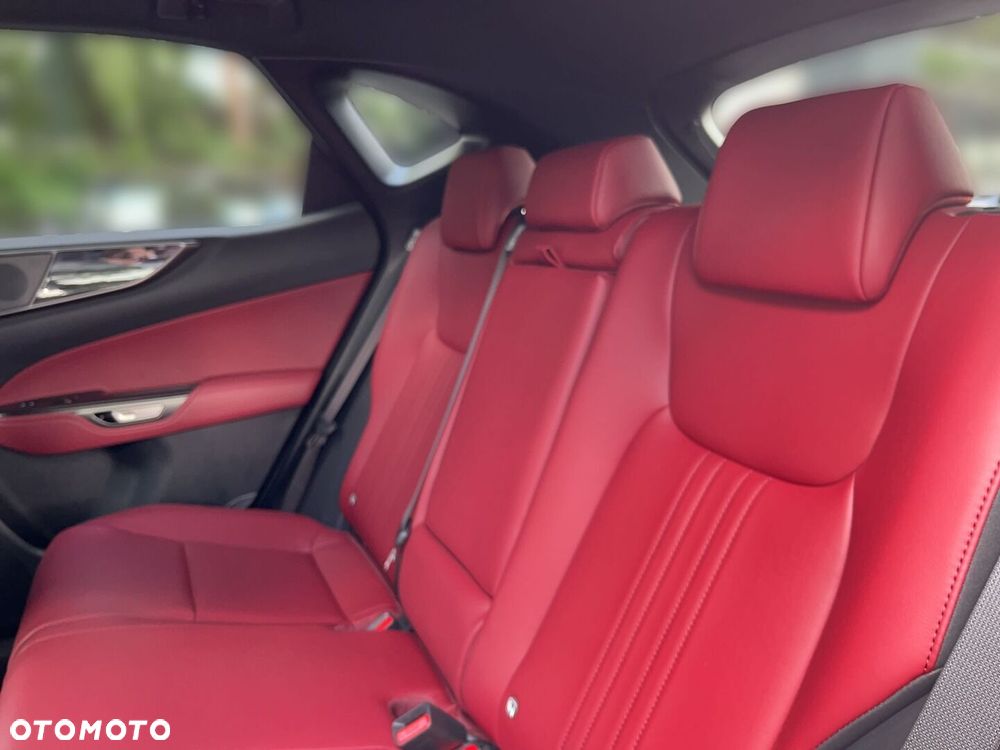 Lexus NX - 6