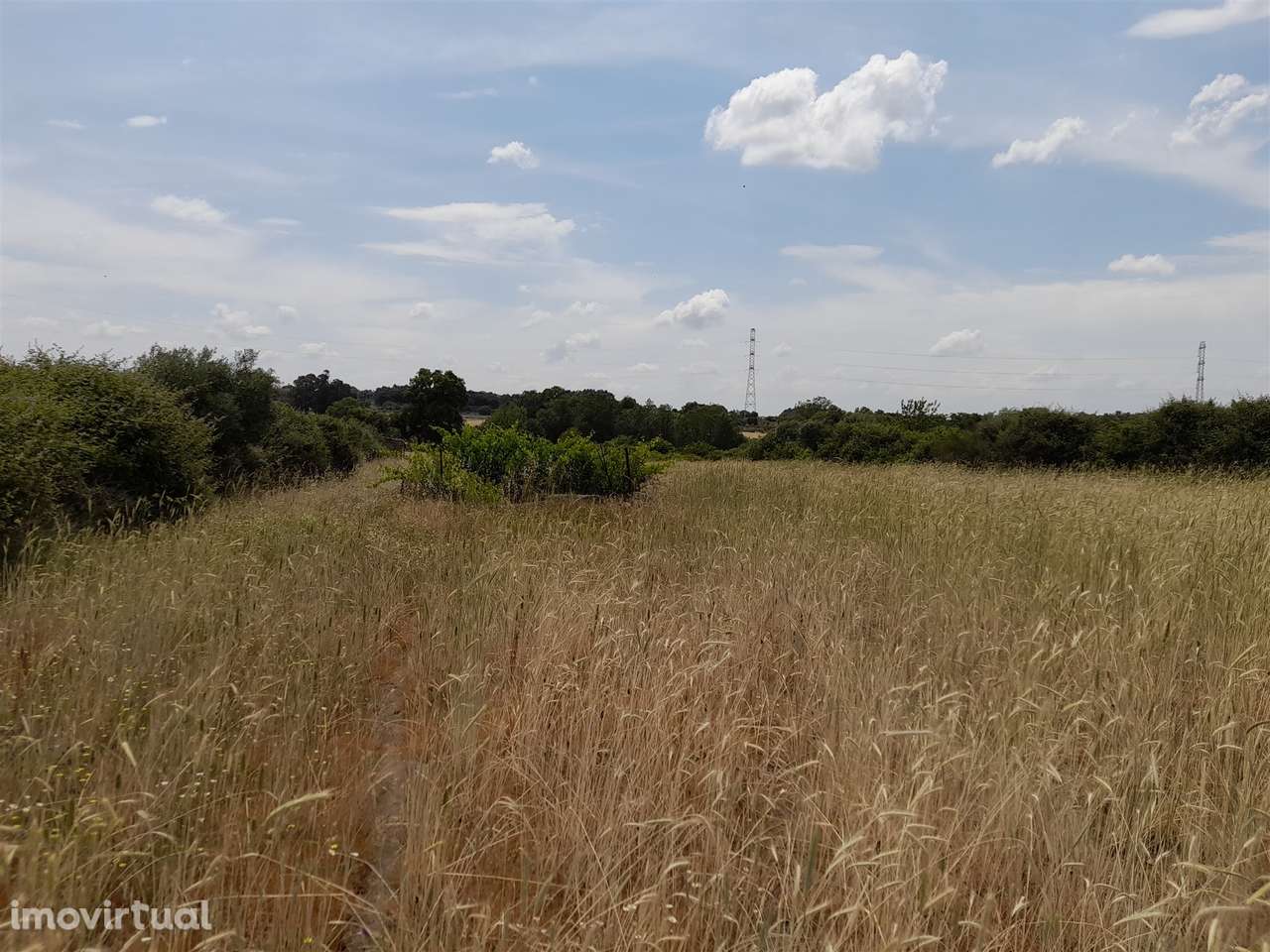 Terreno Rústico  Venda em Alcains,Castelo Branco - Grande imagem: 4/10