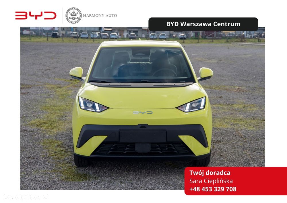 BYD Dolphin Surf 43.2kWh Boost - 1