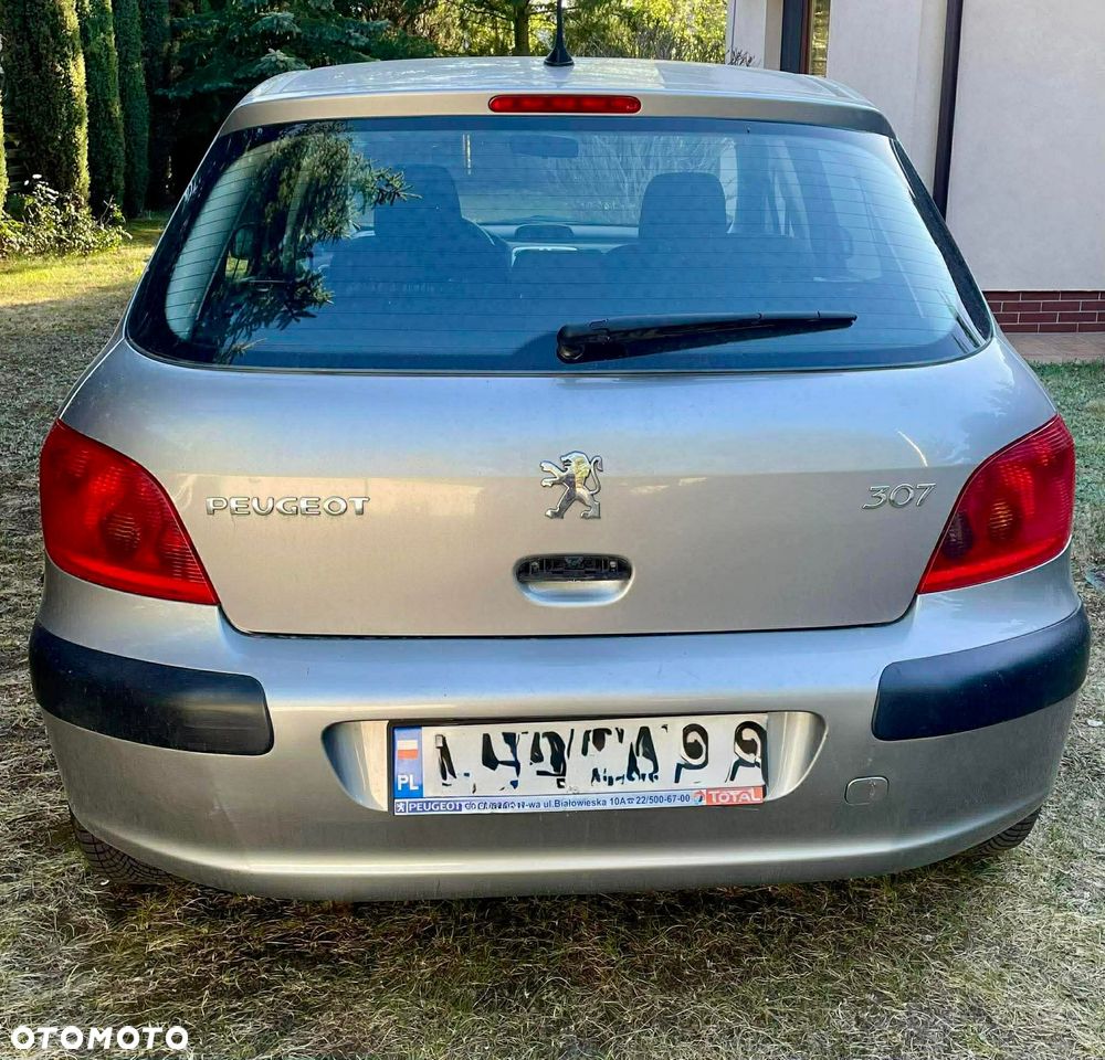 Peugeot 307 1.6 XS - 4