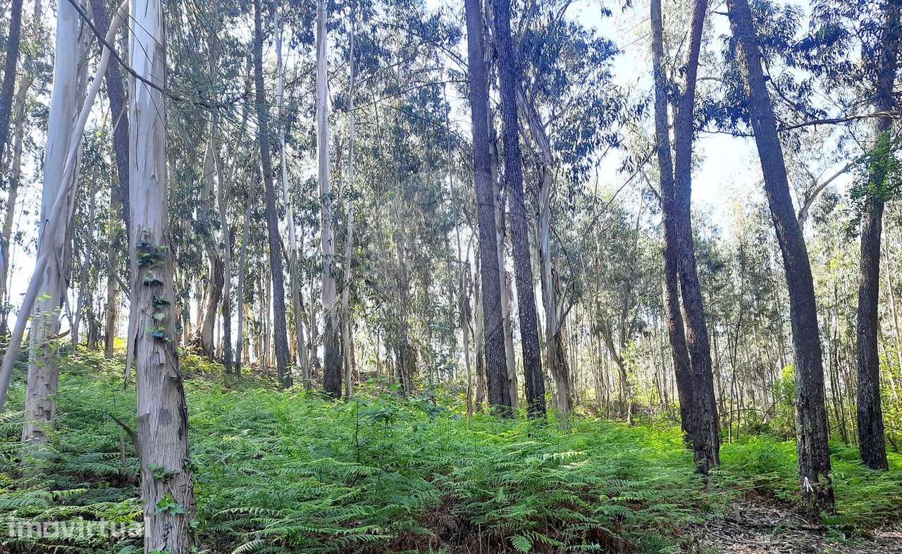 Terreno  para venda - Grande imagem: 2/3
