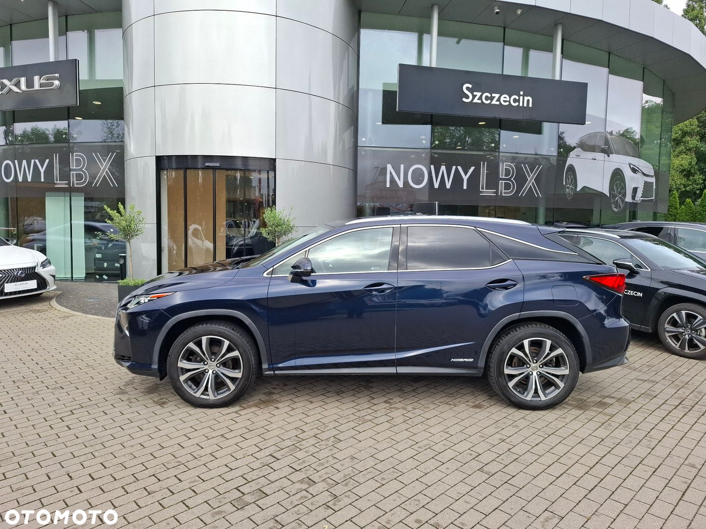Lexus RX 450h Elegance MY19 - 2