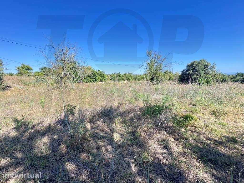 Terreno Rústico com 4.664 m² - Fazendas da Serra, Loulé - 82.000€ - Grande imagem: 5/6