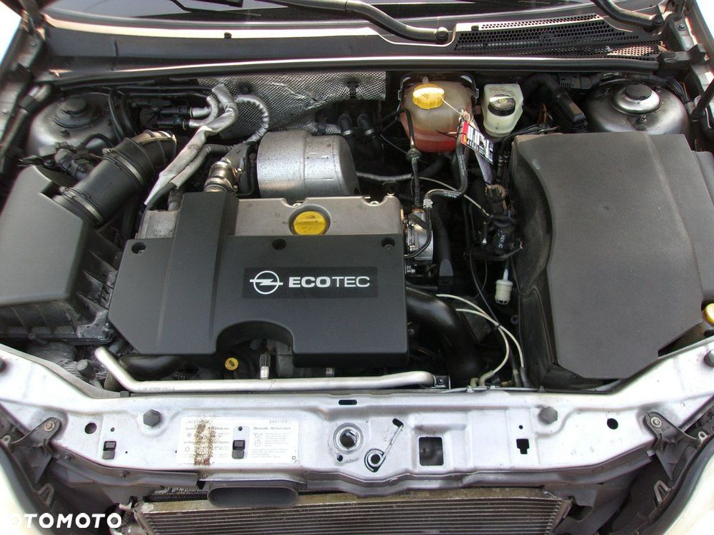 Opel Signum - 28