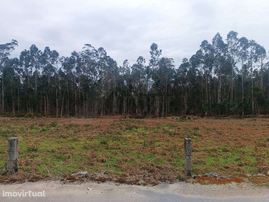 Terreno com uma área total de 10.796 m2 - Grande imagem: 4/5