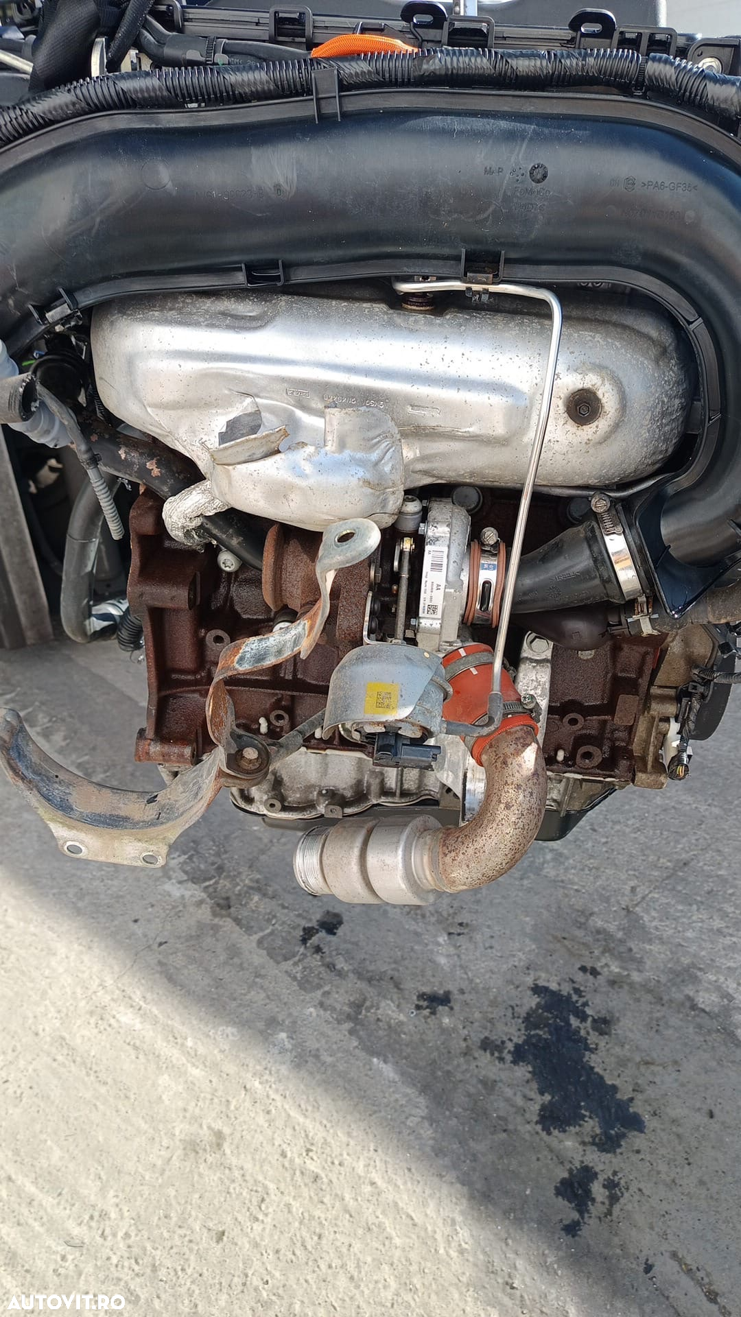 Motor Ford focus 2.0 TDCI Duratorq - 3