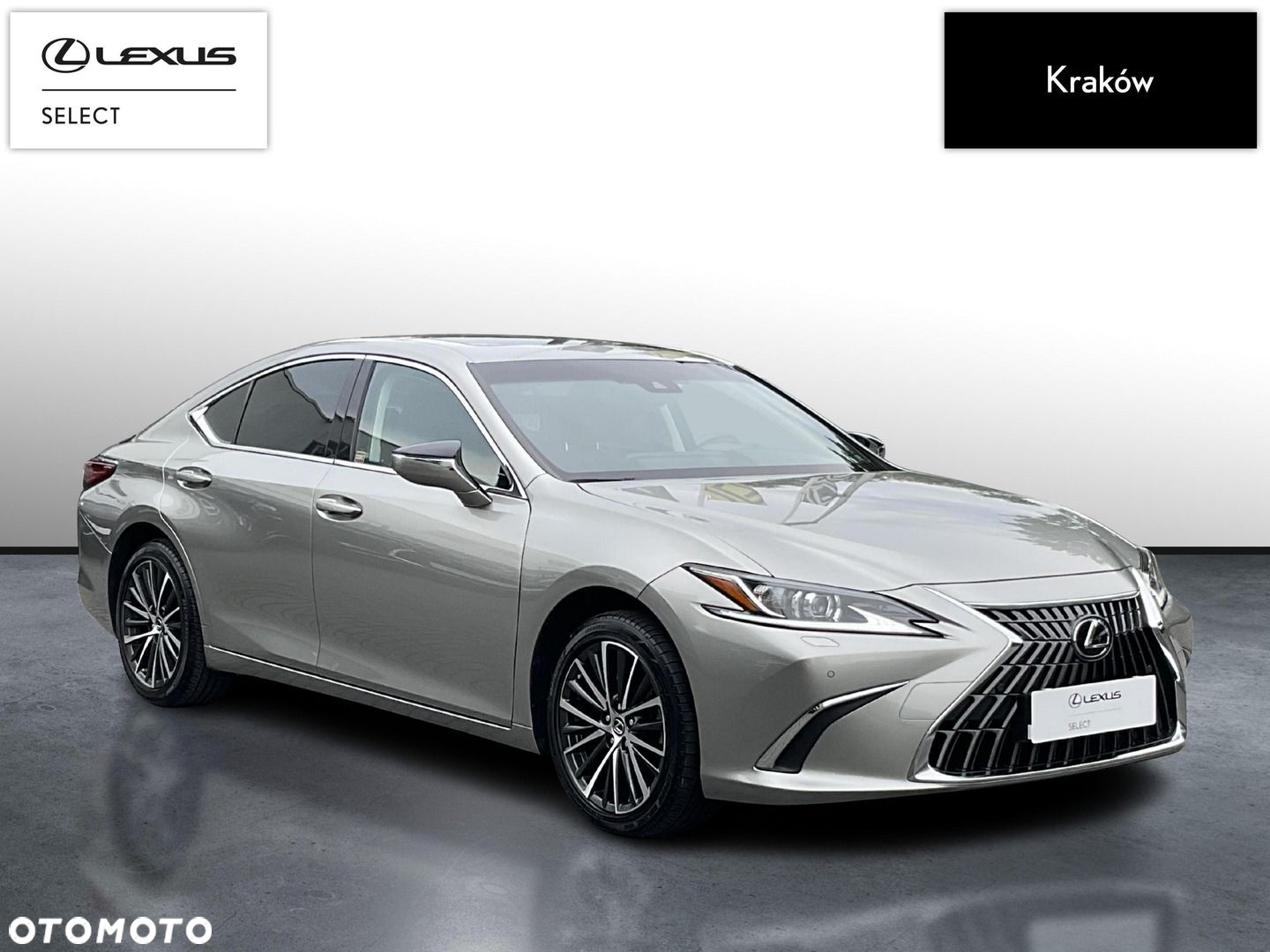 Lexus ES 300h Business Edition - 7