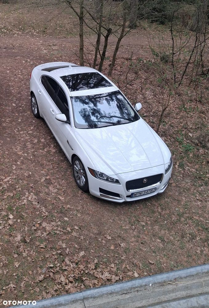 Jaguar XF