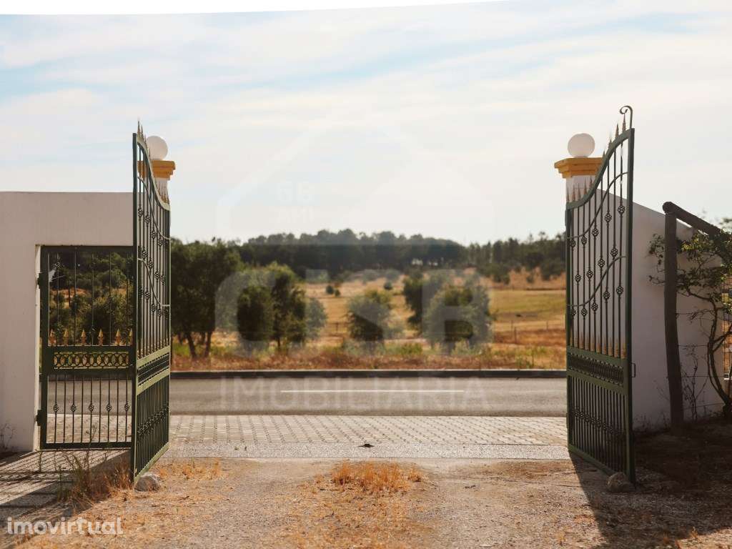 Quinta T5 na Branca - Grande imagem: 2/54