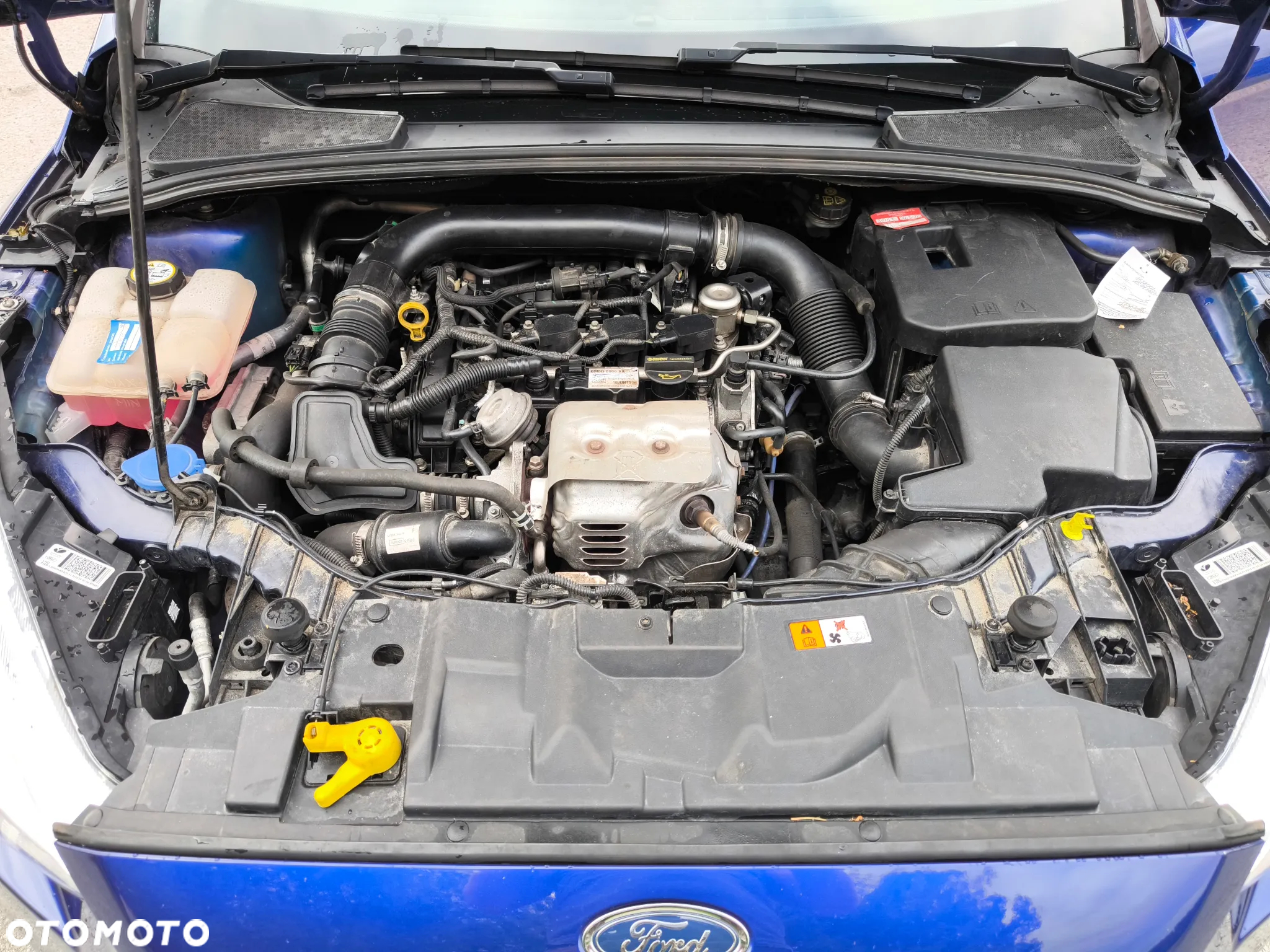Ford Focus 1.0 EcoBoost Active Business - 19