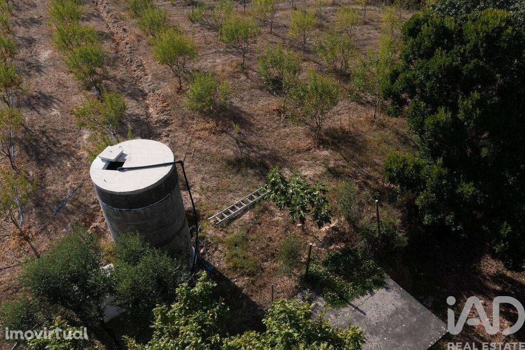 Terreno em Lamas - Grande imagem: 4/30