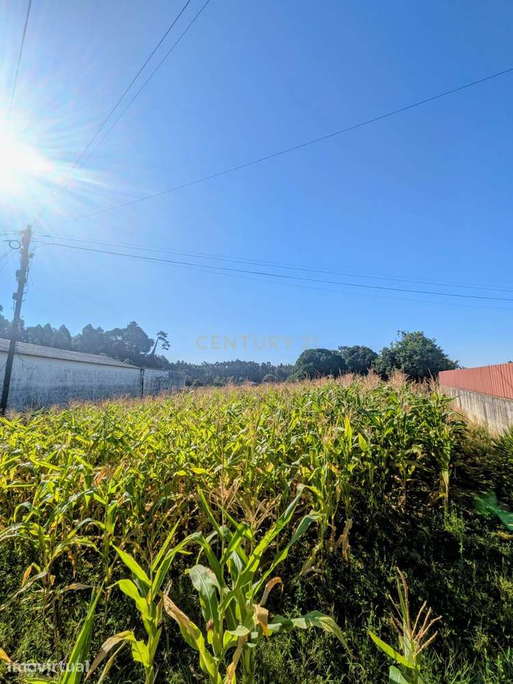 Terreno em Oliveira do Bairro - Grande imagem: 2/4