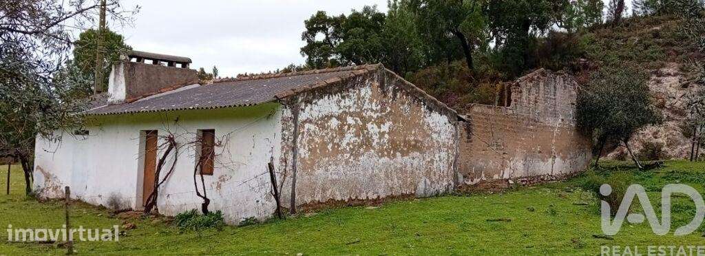Terreno Agrícola em Galveias - Grande imagem: 5/9